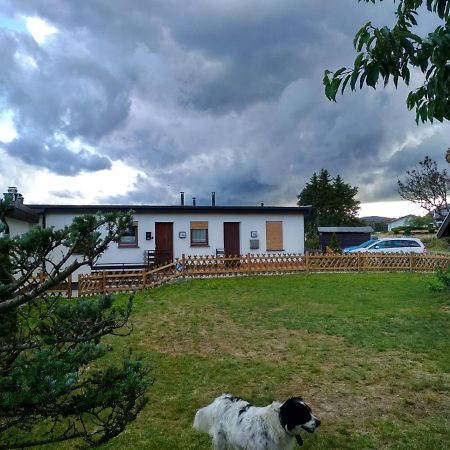Haus Panoramablick Villa Medebach Eksteriør bilde