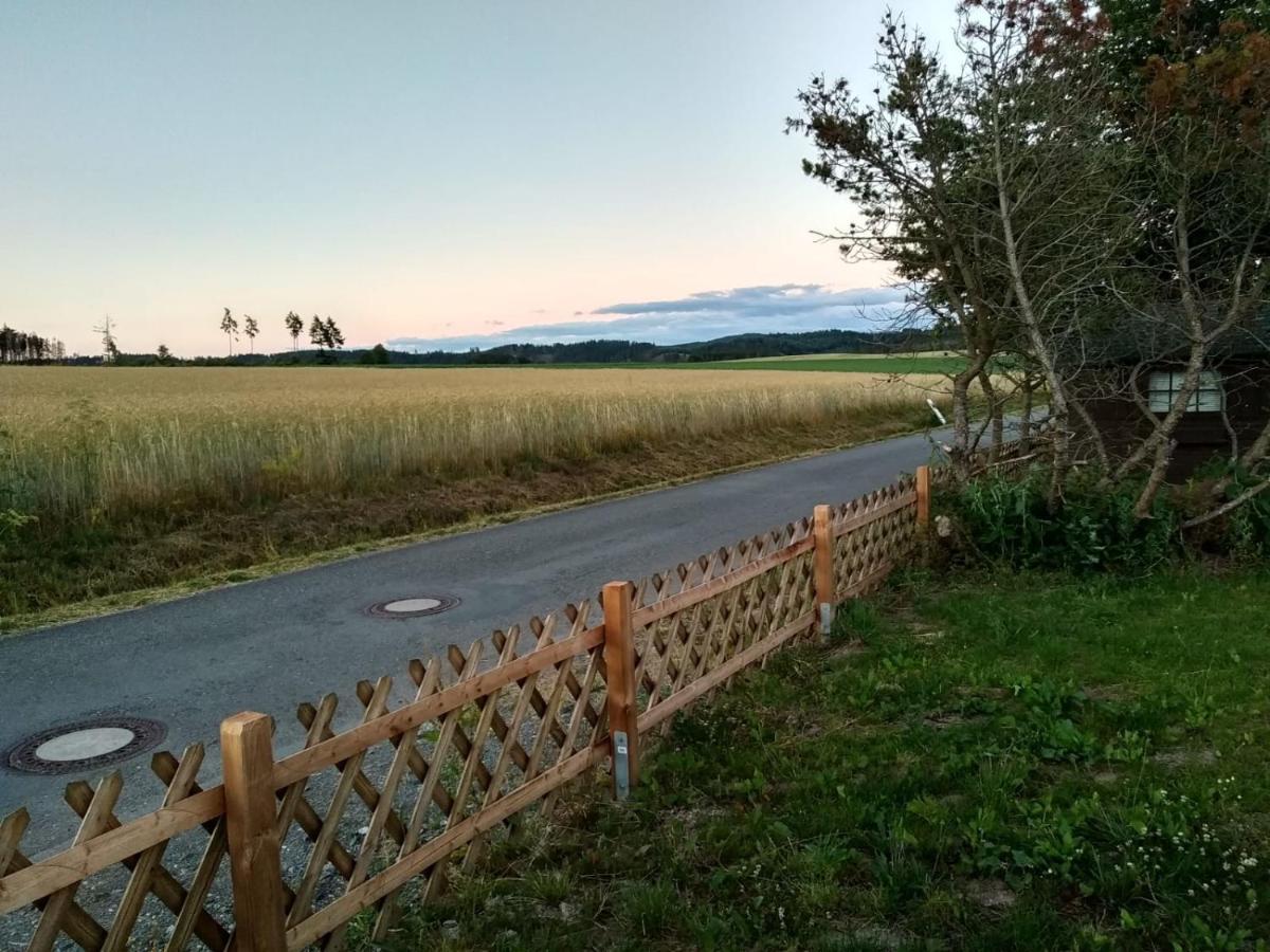 Haus Panoramablick Villa Medebach Eksteriør bilde