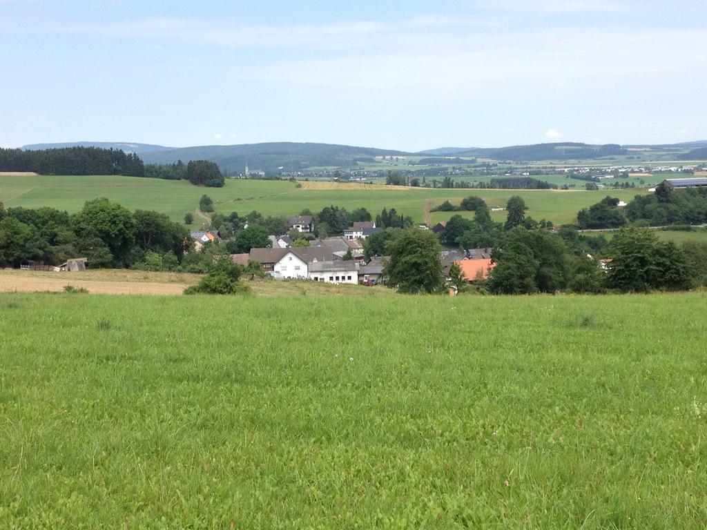 Haus Panoramablick Villa Medebach Eksteriør bilde